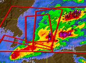 NWS